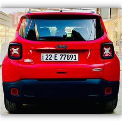 جيب رينيجيد